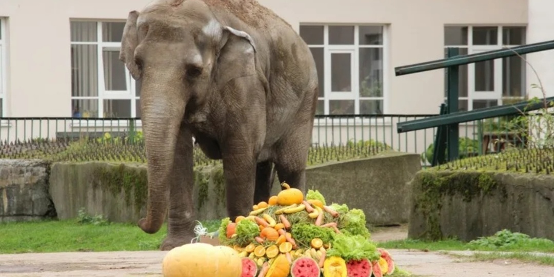 Калининградская звездочка - Преголя
