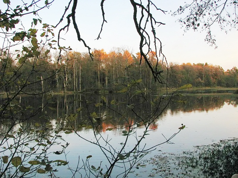 Заказник «Клязьминский»