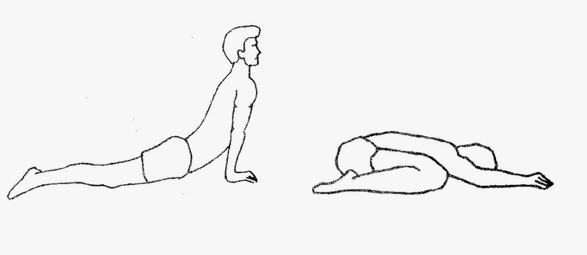 А вот, кстати, пример «Кошки‑коровы»