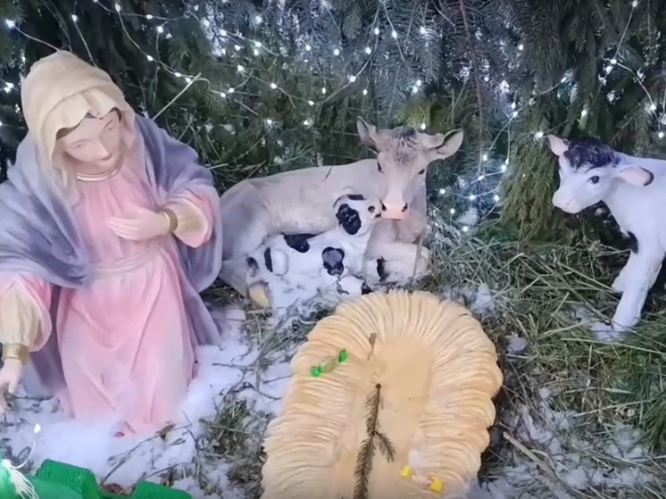   Кадр из видео