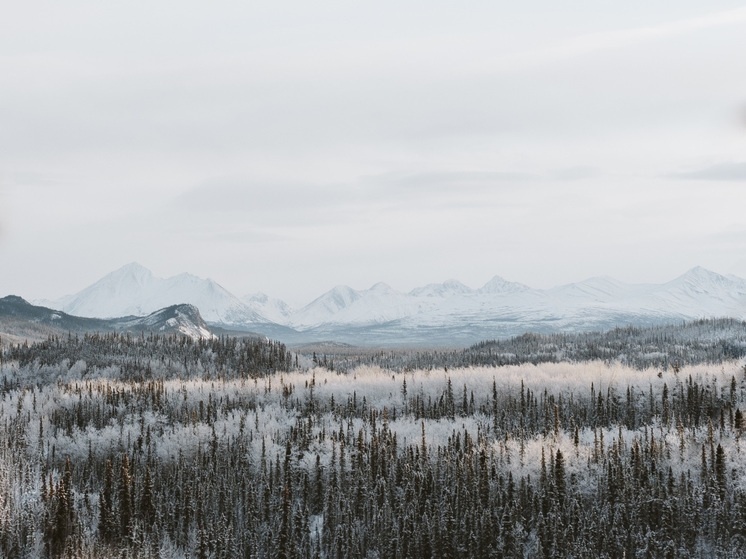     Фото: https://pxhere.com