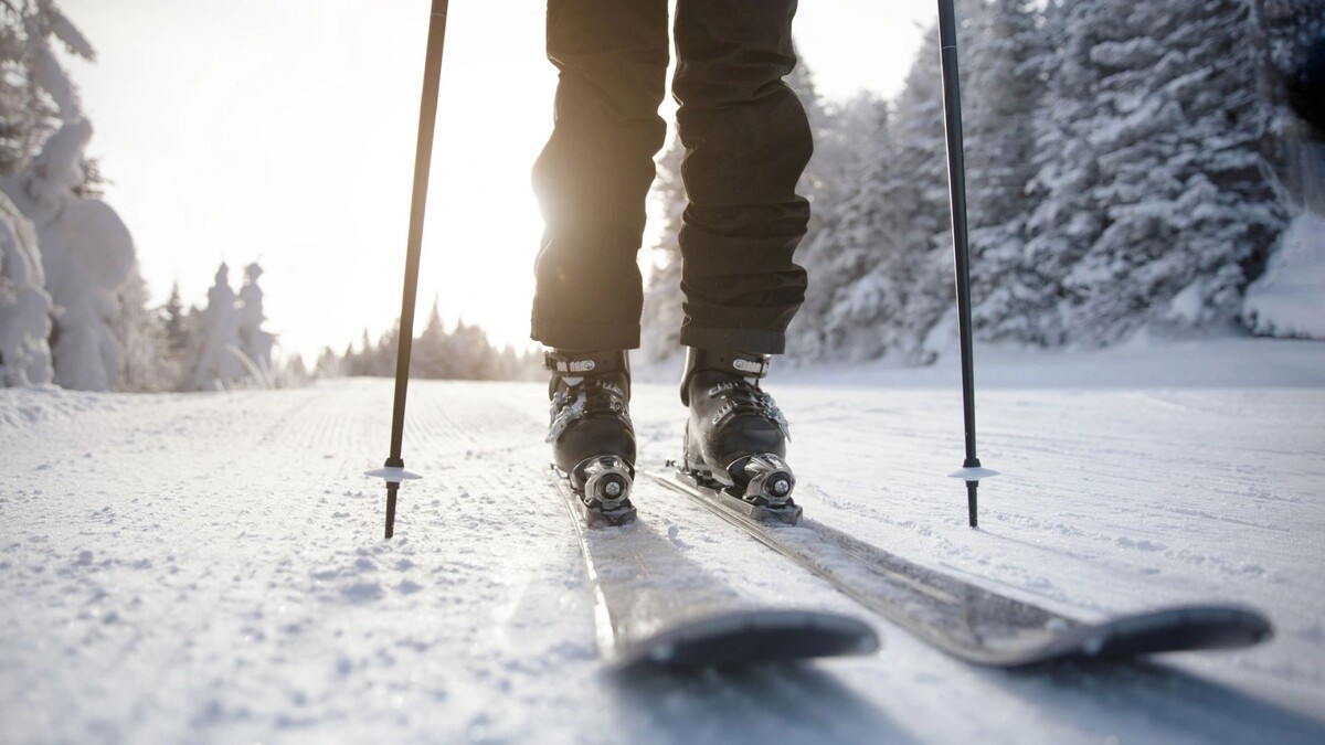    Фото: Maridav/Shutterstock/Fotodom