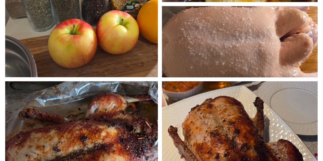 Жизнь возвращается в своё русло