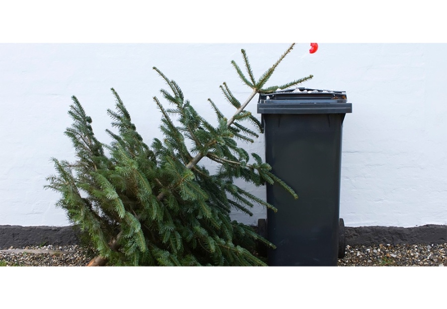     Жизнь после праздников – как правильно утилизировать новогоднюю ель?