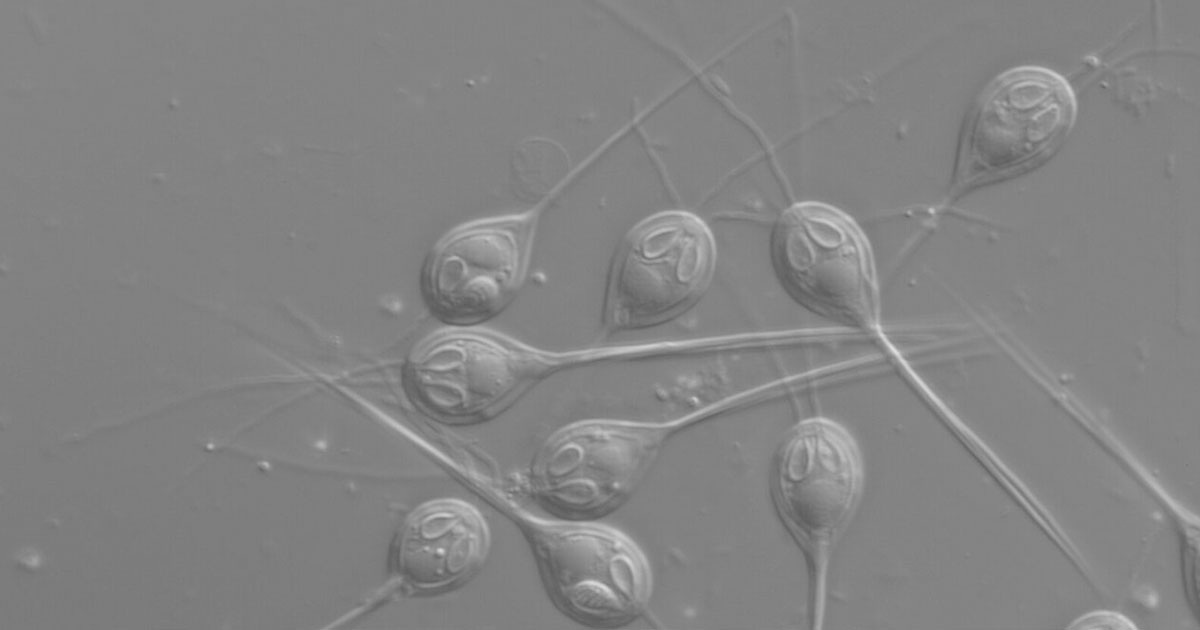 Stephen Douglas Atkinson