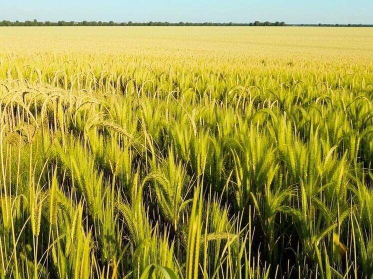     Фото: Изображение сгенерировано нейросетью.