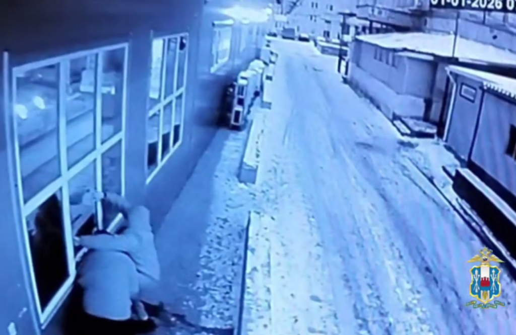    фото: стоп-кадр камеры видеонаблюдения / ГУ МВД по РО Редактор