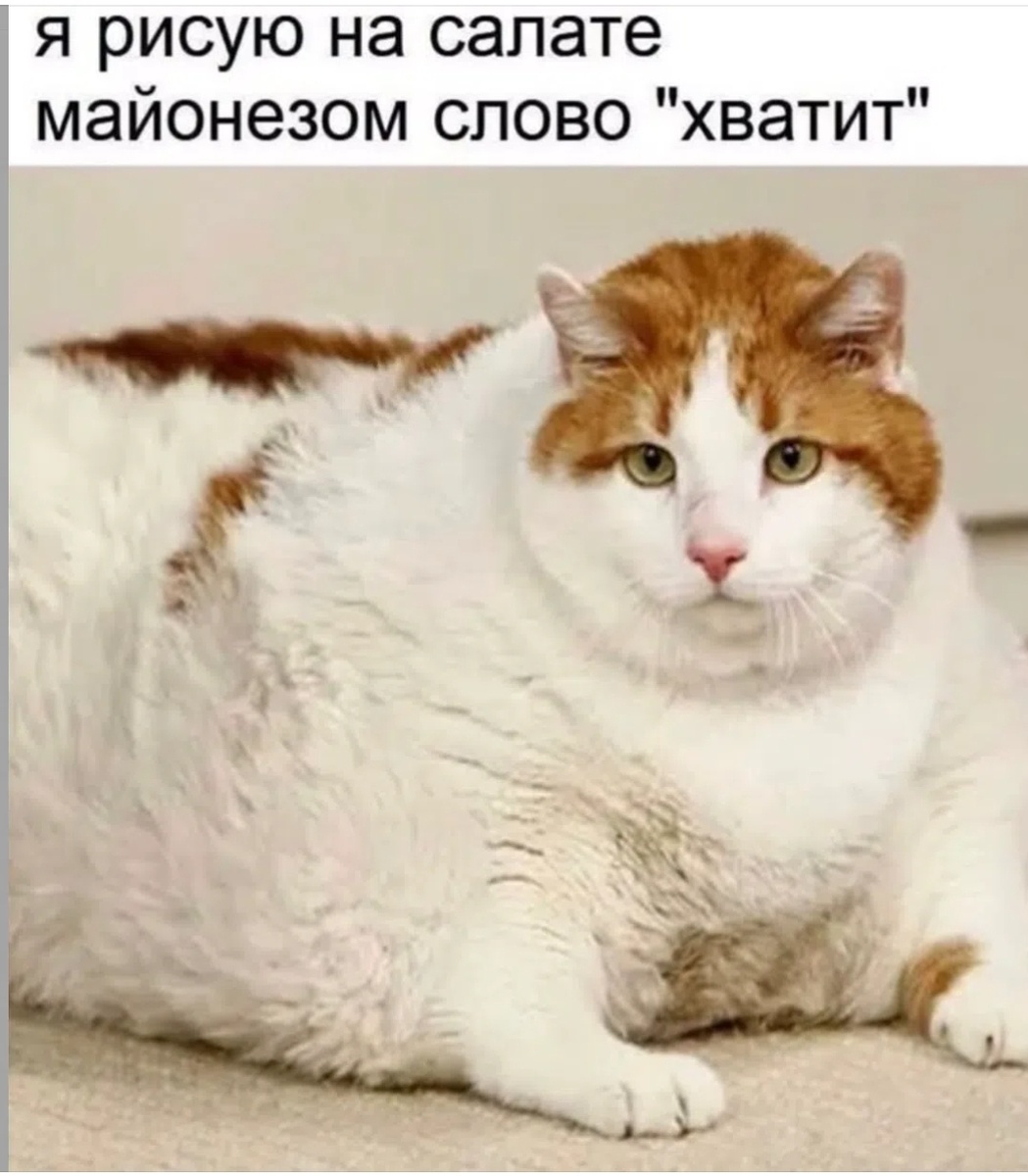 Эта картинка прям показывает мое состояние😁