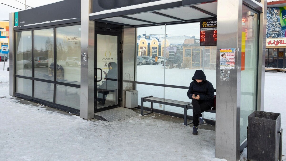    Фото: Василий Петров / «Ямал-Медиа»