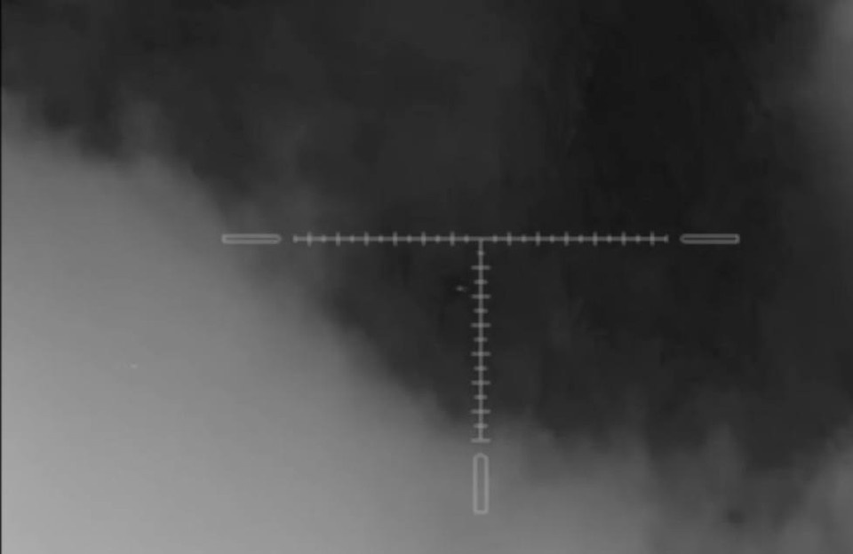    Фото: кадр с видео