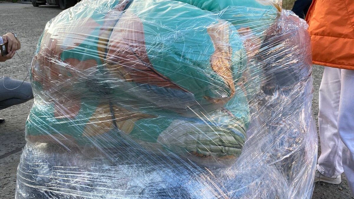    Фото: телеканал «Краснодар»