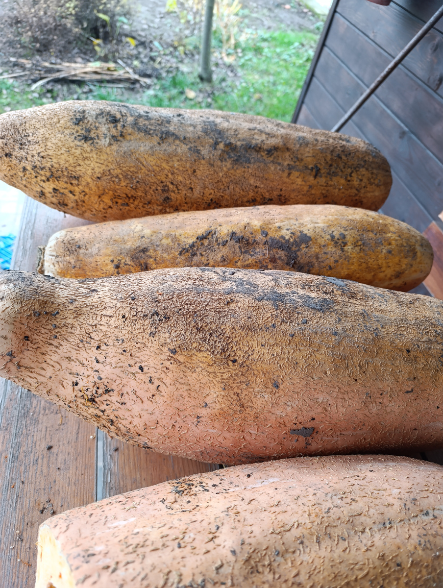 Фото из личного архива, сентябрь 2025