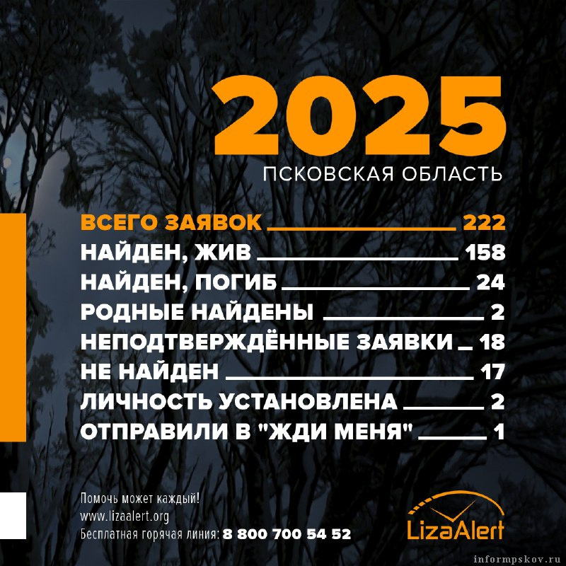 Фото: «ЛизаАлерт»