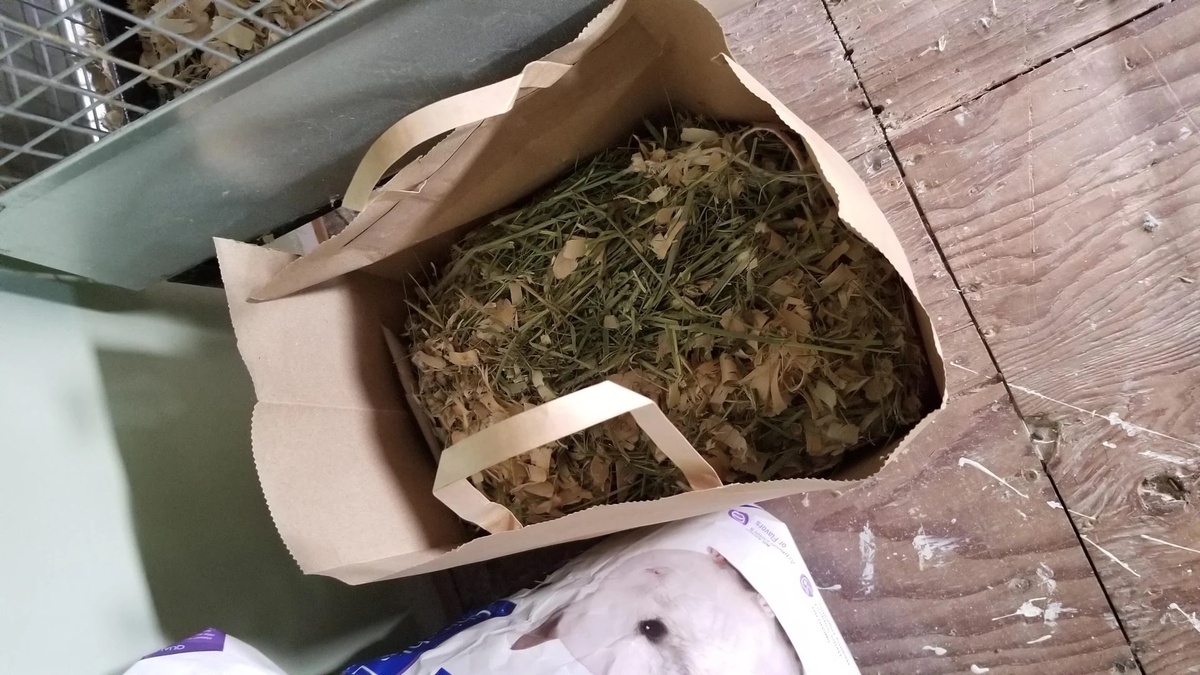 Источник: reddit.com/r/composting/comments/tve5xr/ive_been_turning_all_my_chinchillas_waste_into