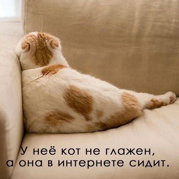 иллюстрация из яндекс картинки.