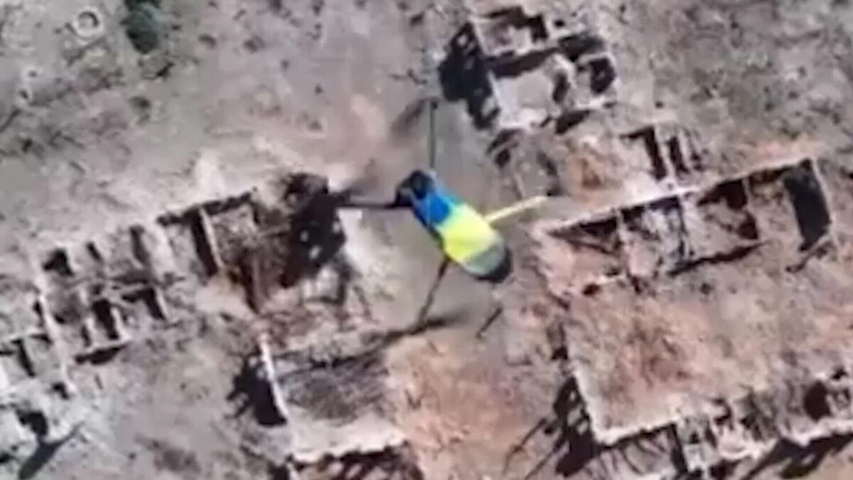 Оператор БПЛА группировки российских войск в Харьковской области / РИА Новости