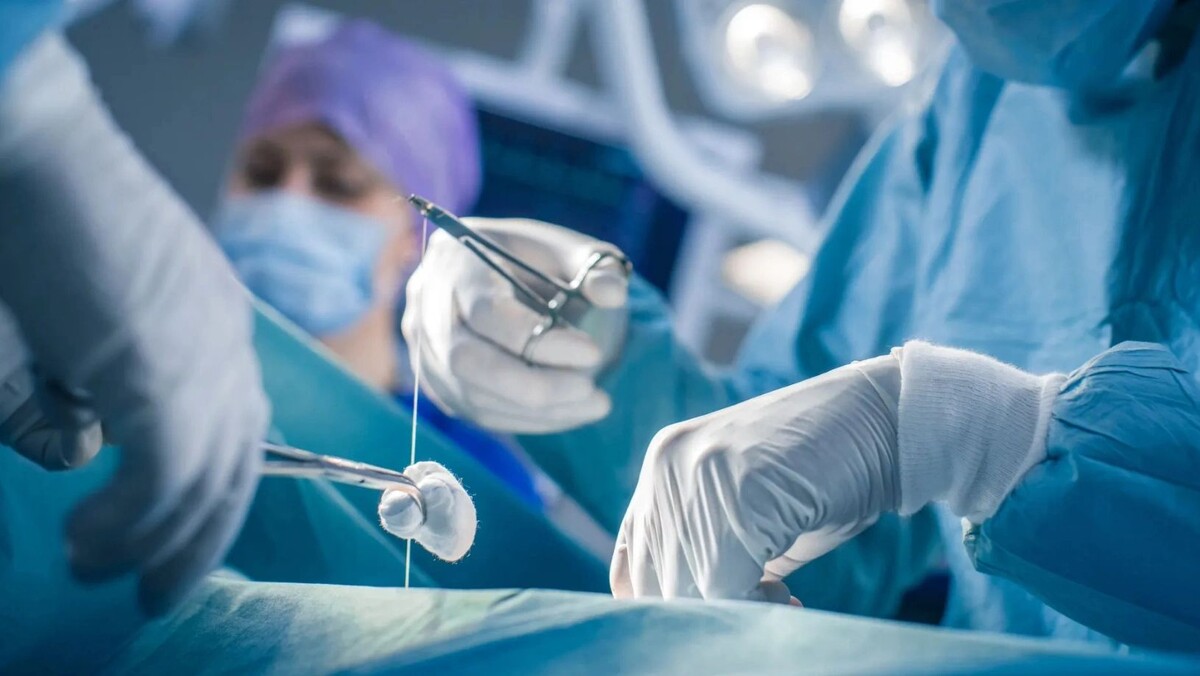    Фото: Gorodenkoff/Shutterstock/Fotodom