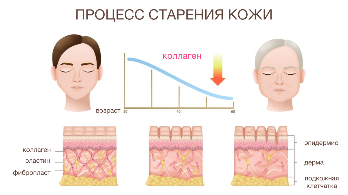 Какие изменения происходят внутри увядающей кожи