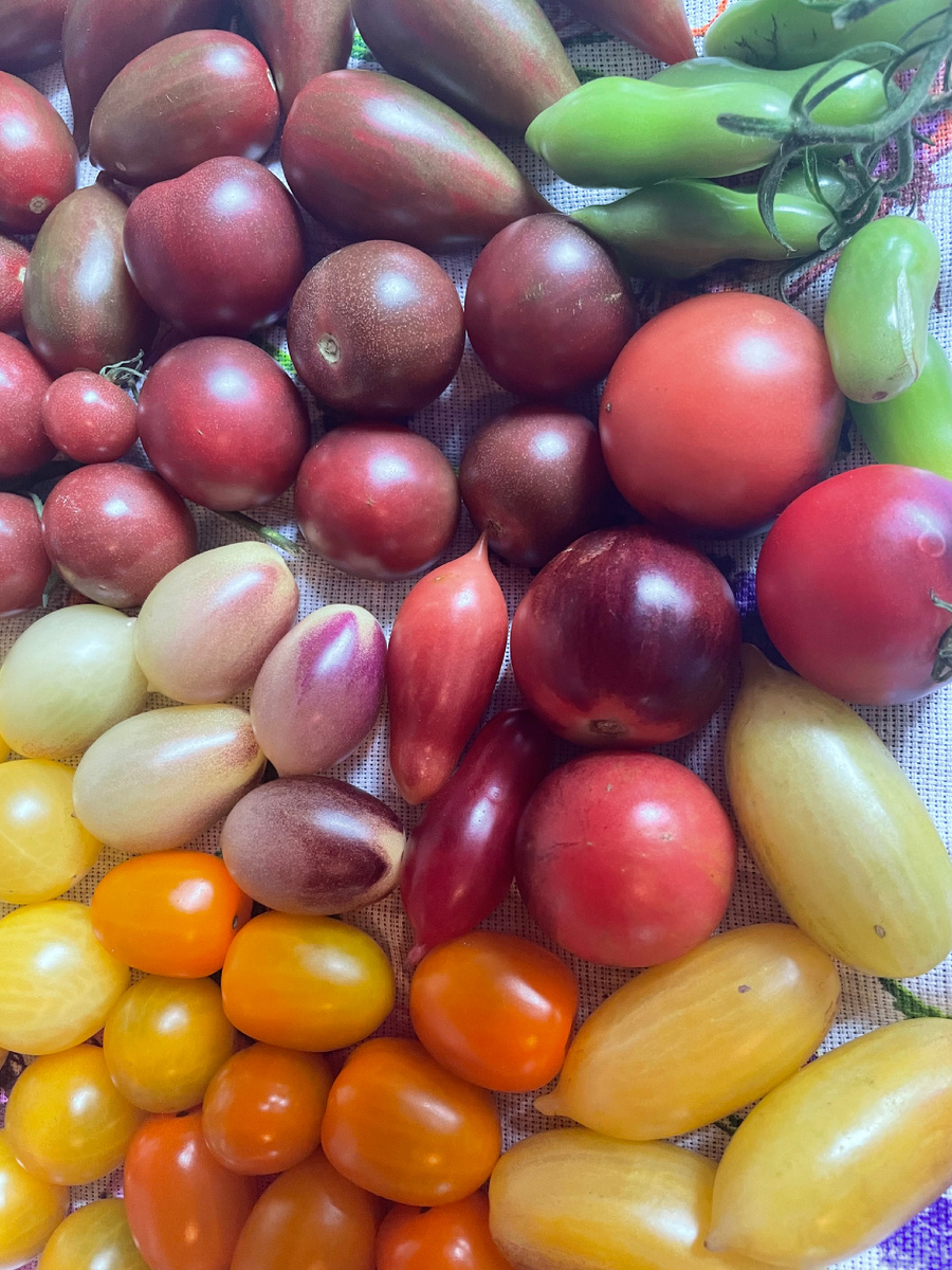 Фото автора. Сезон 2025