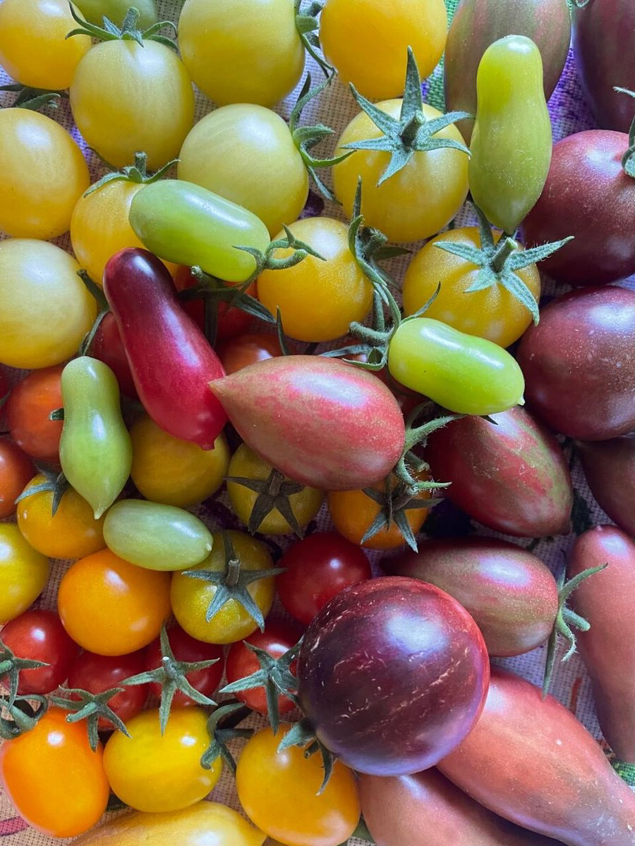 Фото автора. Сезон 2025