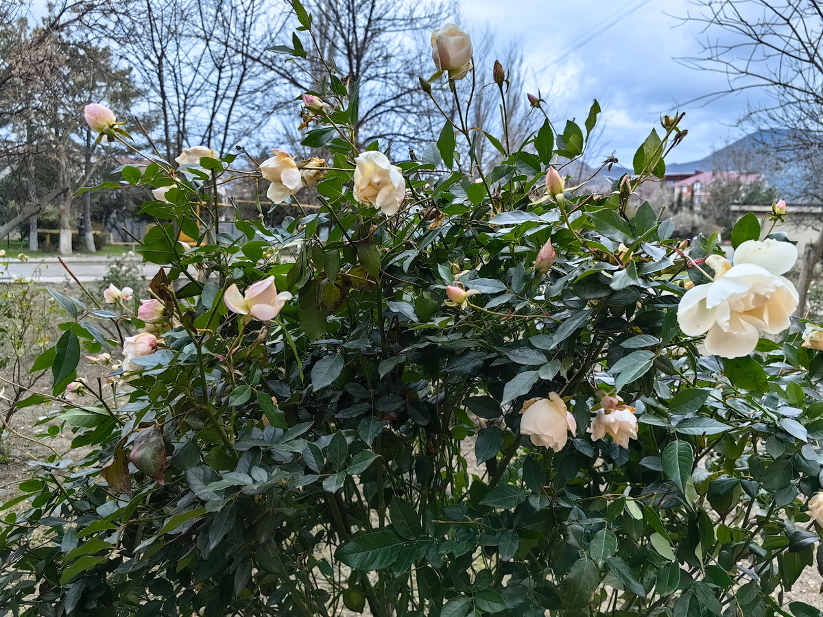 Фото автора канала