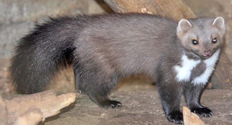 Фотография из интернета