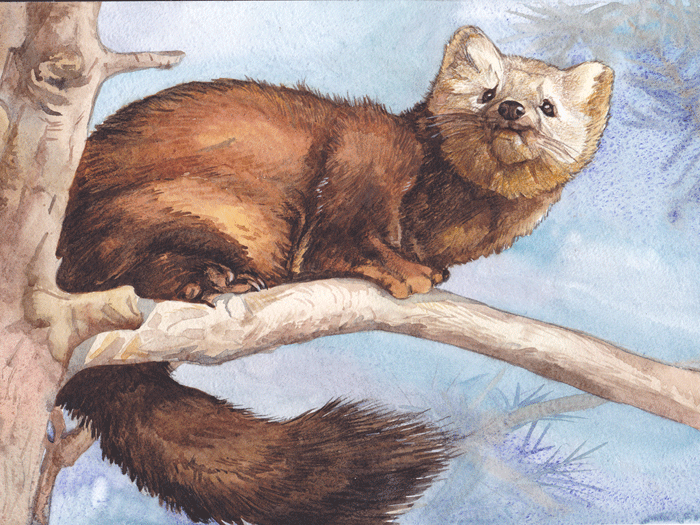 Фотография из интернета