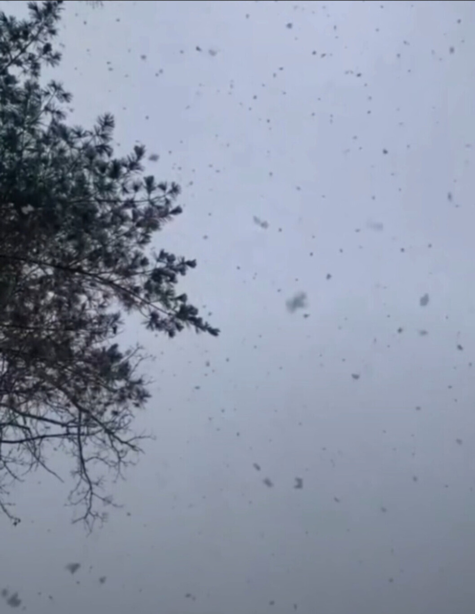 Вот что удалось сфотографировать