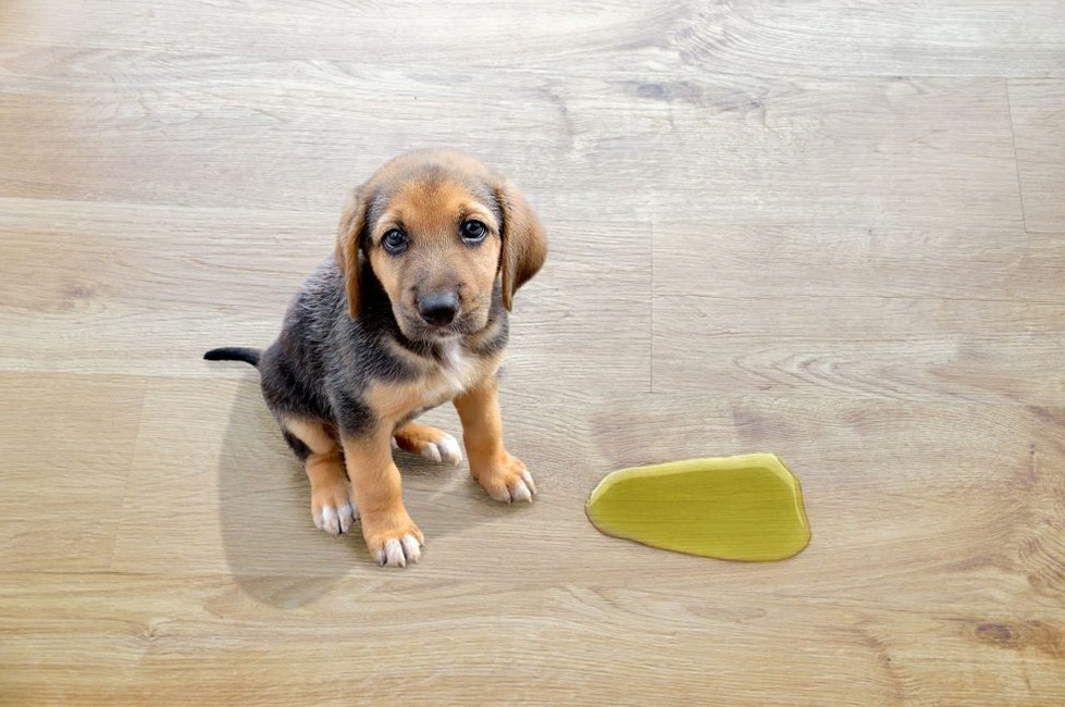 Бывает, не страшно