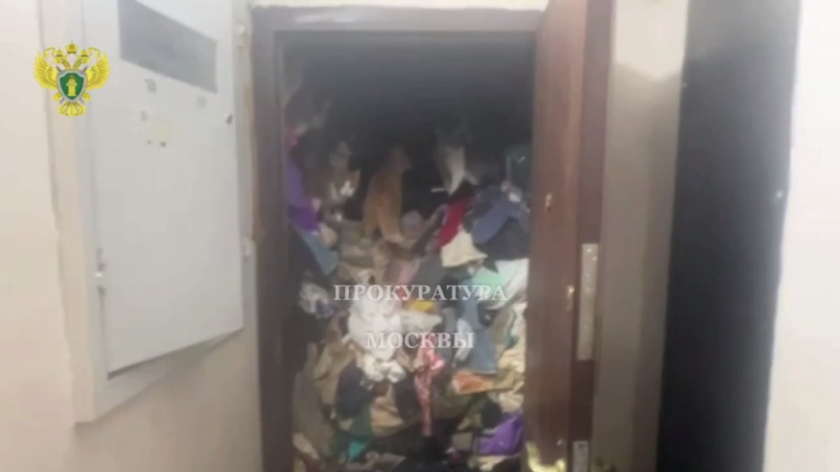    Фото: Скриншот видео / Прокуратура Москвы / Telegram