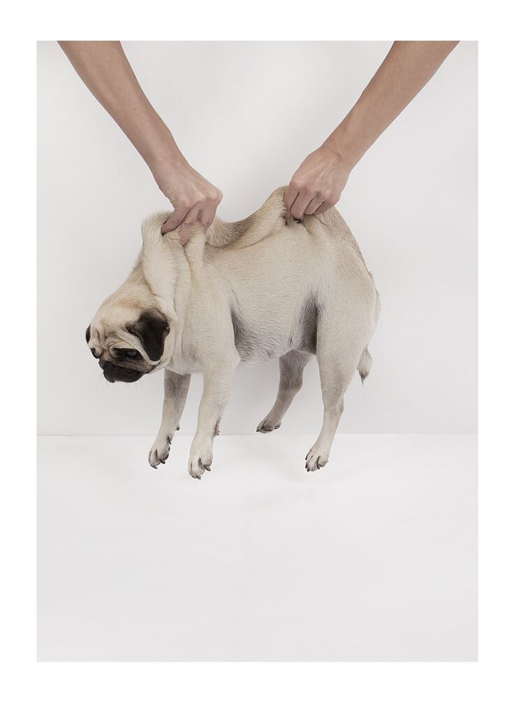 источник фото: https://i.pinimg.com/736x/71/61/4f/71614f13f35d31061a9d56203e0a41bc.jpg