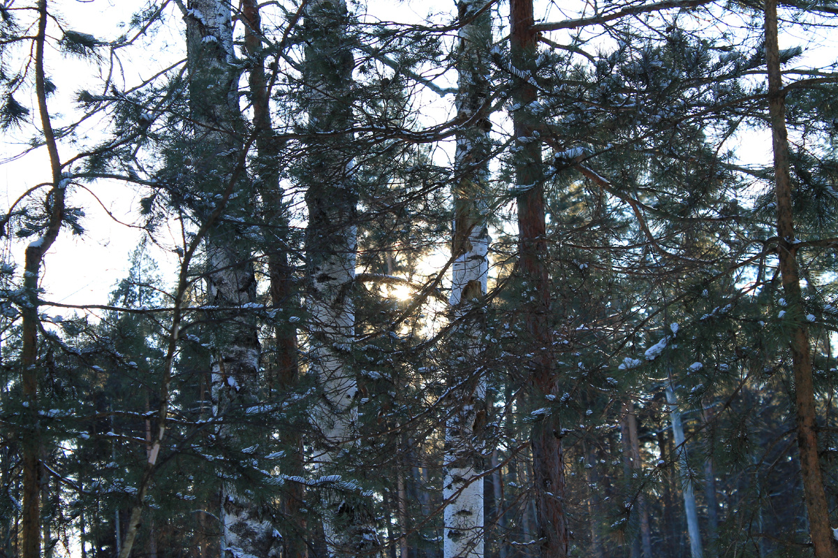 Фото автора.