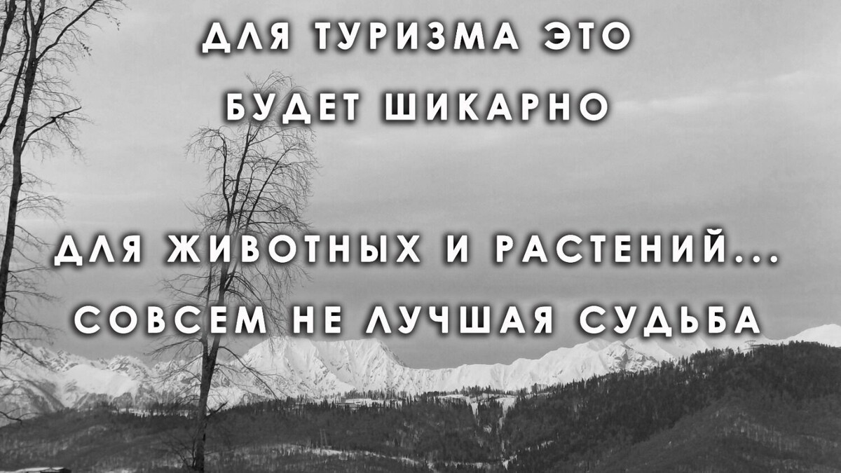    Это понятная всем адекватным людям истина   kubanpress.ru