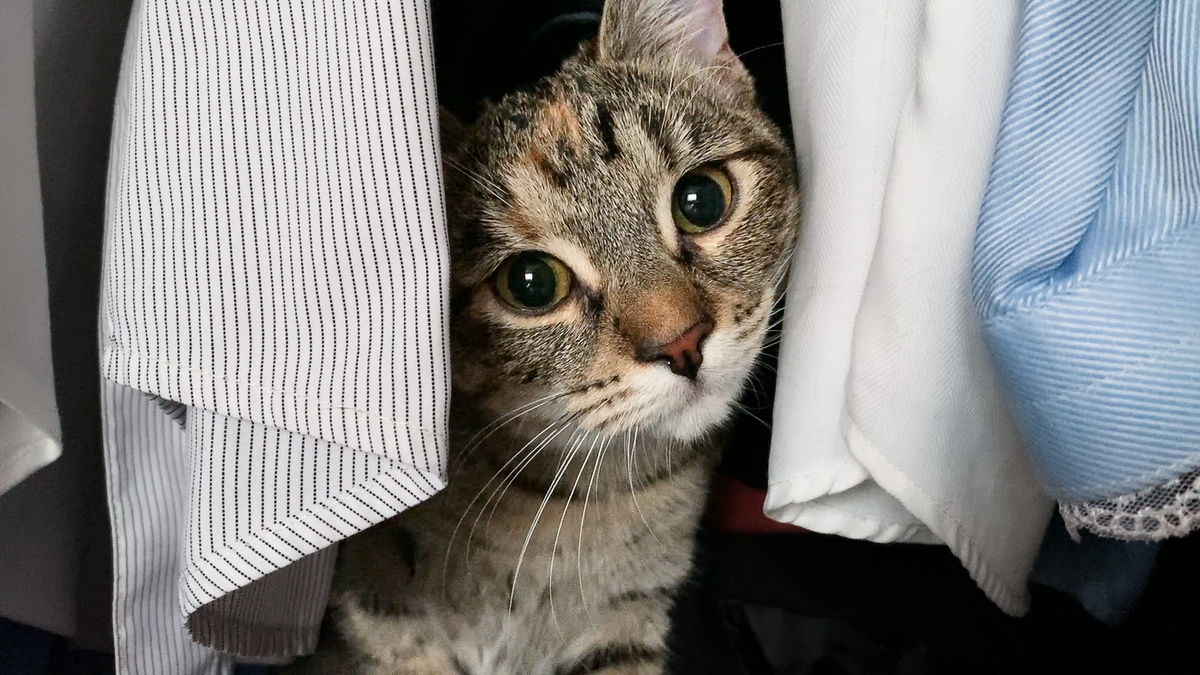 Любимое место отдыха и наблюдения