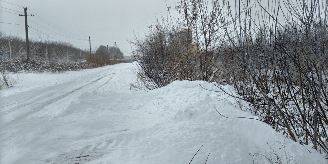 Сердце сироты. Глава 2.