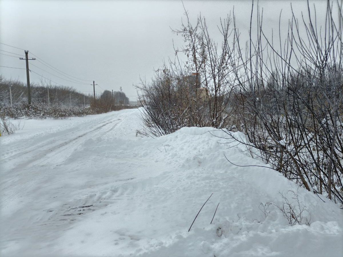 Фото автора.