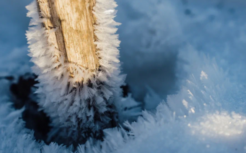    Ирина Яковлева