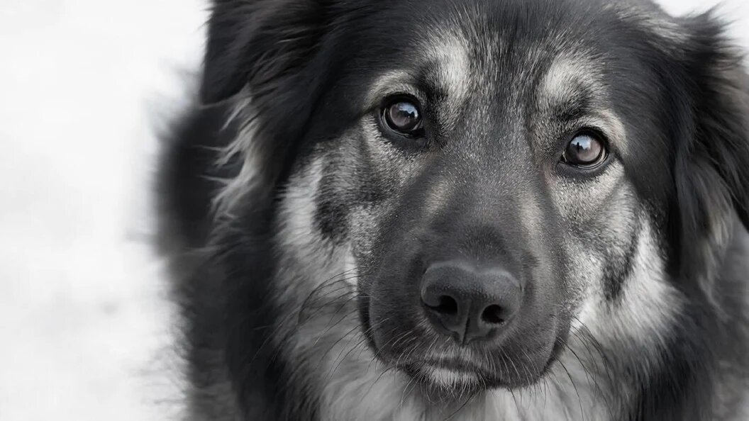    Фото: сгенерировано нейросетью/запрос "Царьграда"