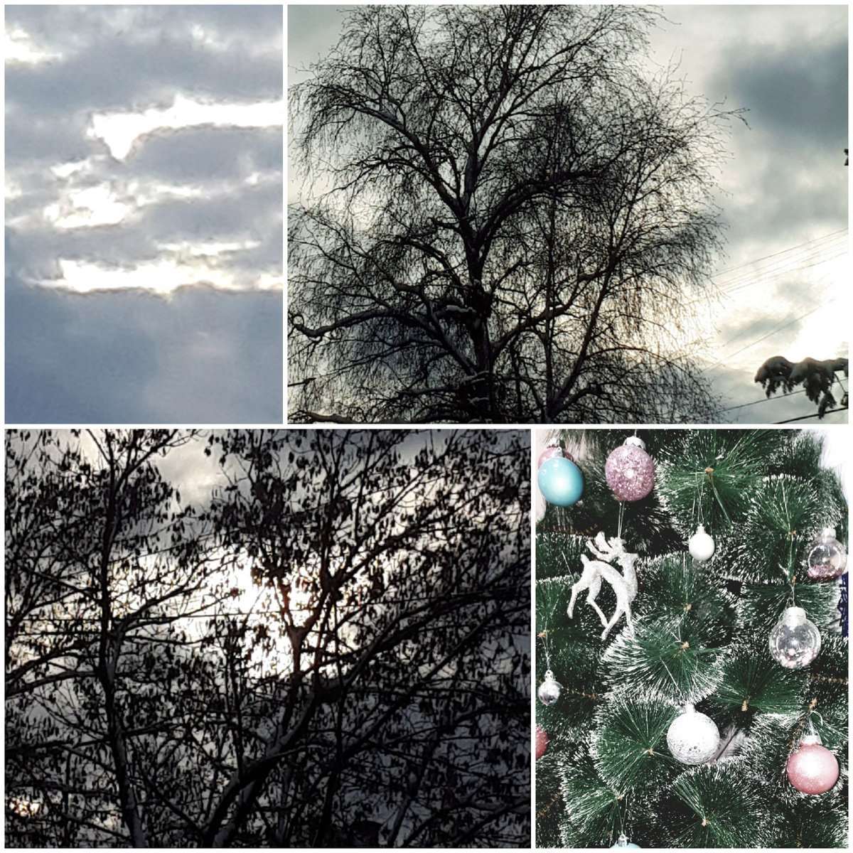 Коллаж автора 08.01.2026г.