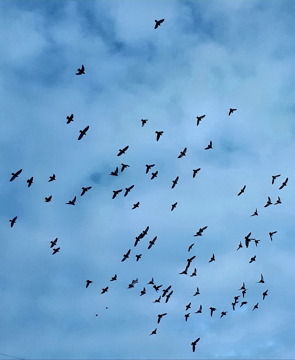 Фото автора 08.01.2026г.