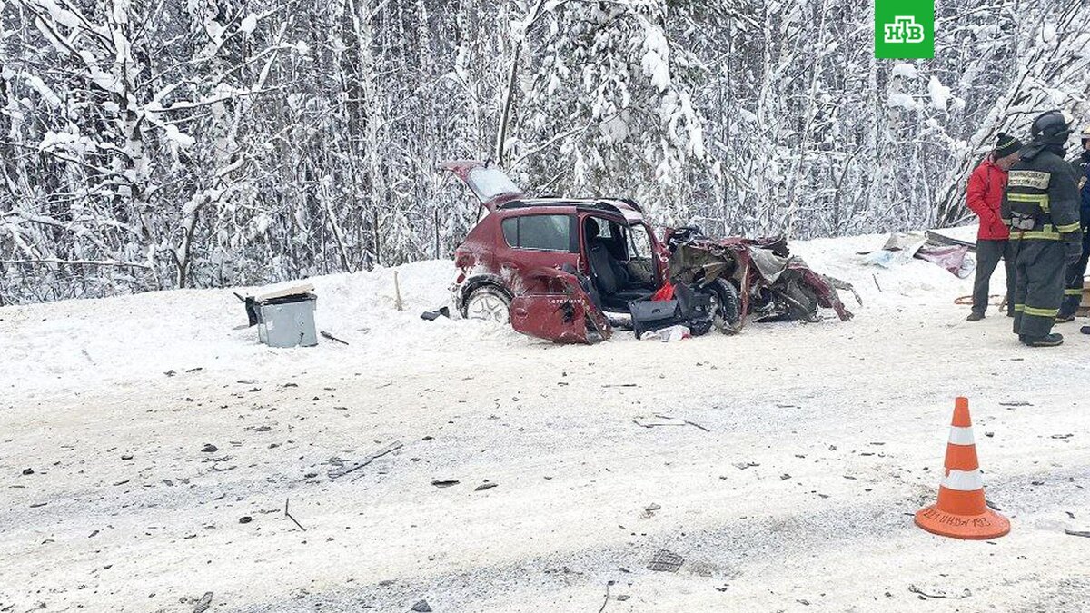    Фото: komiproc / t.me