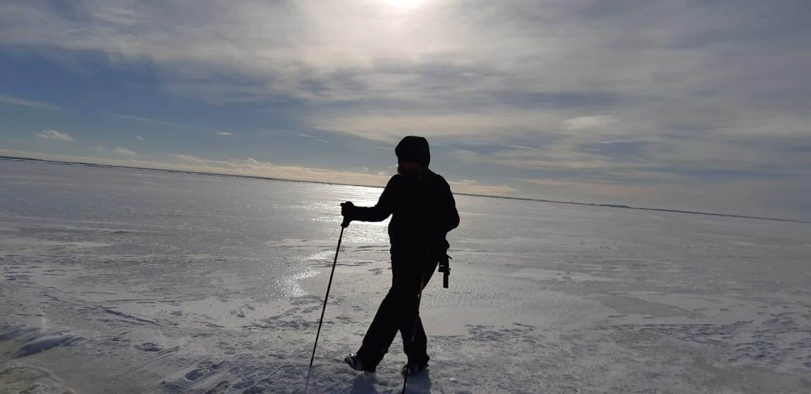 Яндекс Картинки.