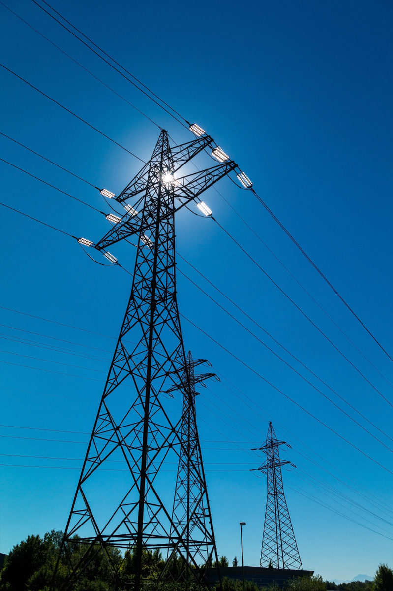    Фото: Lisa-S/shutterstock