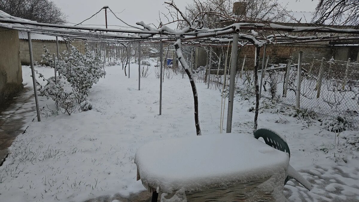 Первый снег 8 января 2026