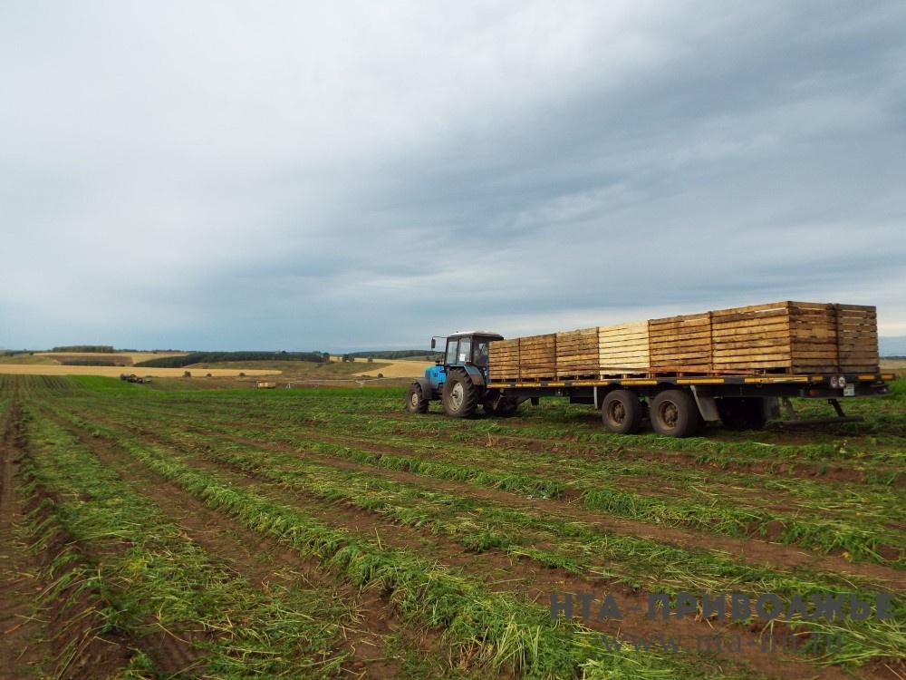    Около 75% участков в Чувашии имеют установленные границы