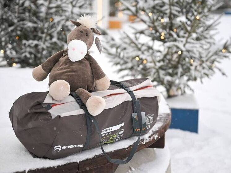     Фотоархив пресс-службы администрации Воронежа