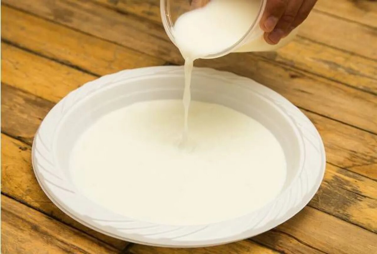 фото из открытого доступного источника сети нтернет