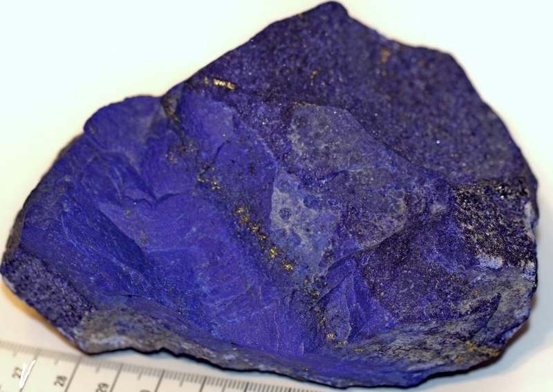 (Фото из открытых источников.)