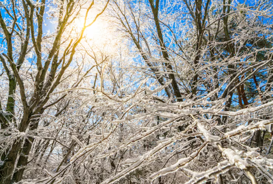 Фото: freepik/jannoon028