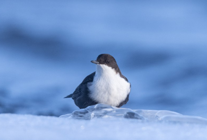 фото: @astrophotoboloto